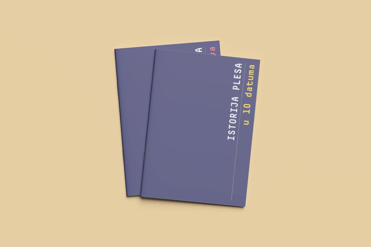 History of The Dance image 1