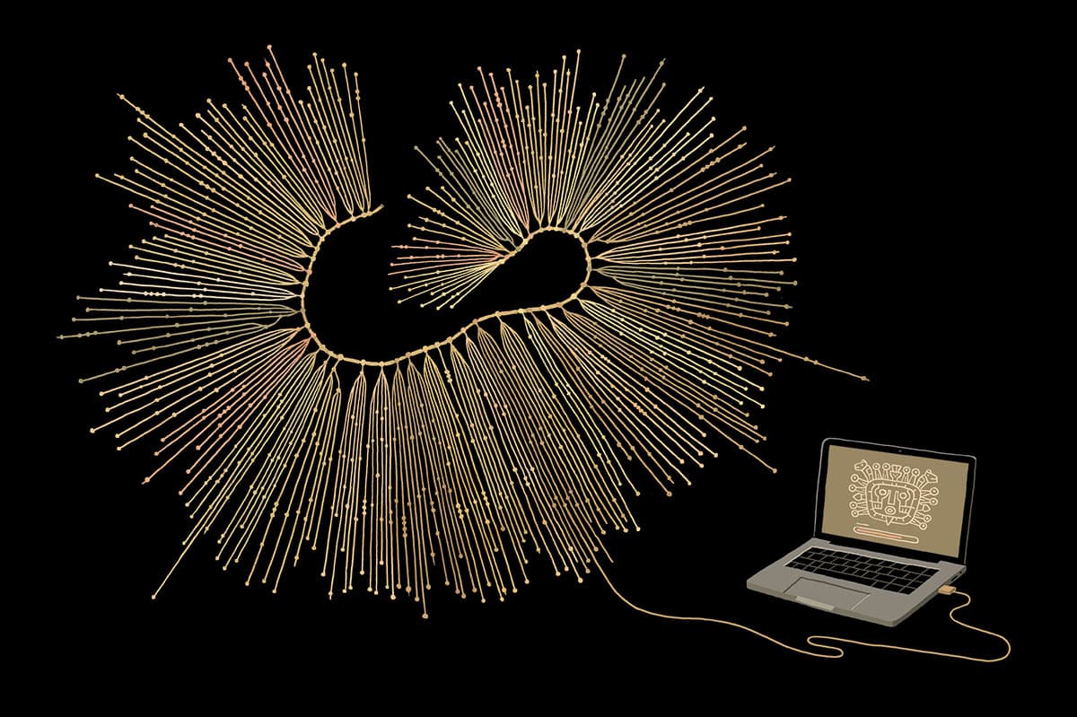 ELEMENTI vol.1 image 1